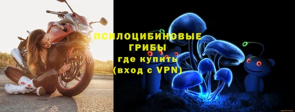 spice Верея