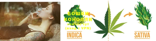 spice Верея