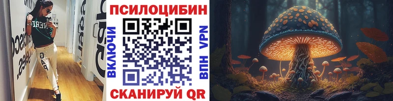 где купить наркотик  Бердск  Псилоцибиновые грибы мухоморы 