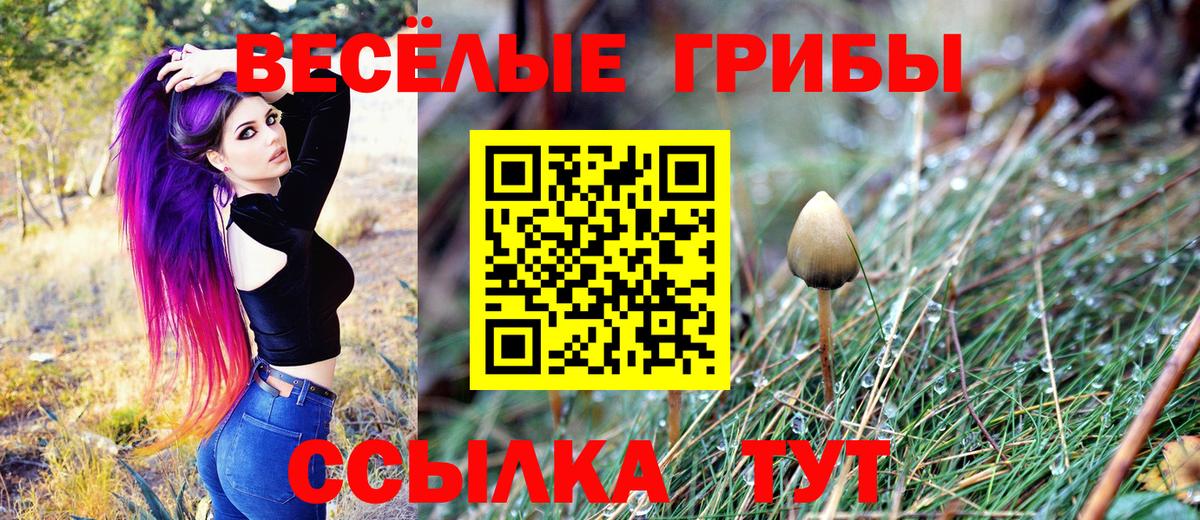 Галлюциногенные грибы MAGIC MUSHROOMS  Бердск 
