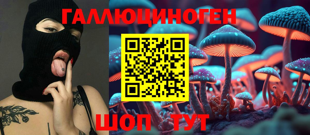 Псилоцибиновые грибы мухоморы Бердск